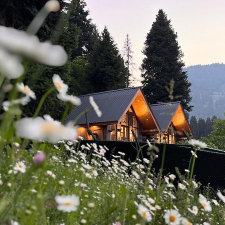 Solomons Gray Villa Tangmarg Buitenkant foto